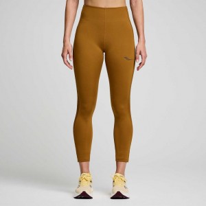 Brown Women's Saucony Fortify Viz Tight | SG-GFDVZ