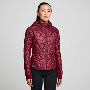 Burgundy Women's Saucony Solstice Oysterpuff Jacket | SG-SGWTD