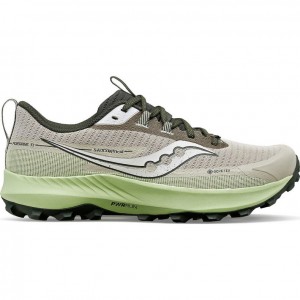 Grey / Mint Men's Saucony Peregrine 13 GTX Running Shoes | SINGAPORE-LKFOU