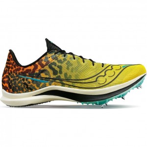 Multicolor Men's Saucony Endorphin Cheetah Running Shoes | SINGAPORE-FHPWV