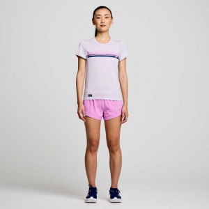 Purple Women's Saucony Stopwatch Graphic Short Sleeve T-Shirt | SINGAPORE-BHXOS