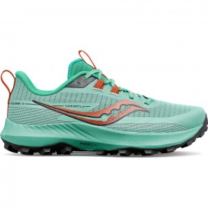 Turquoise Women's Saucony Peregrine 13 Trail Running Shoes | SINGAPORE-EQTBK